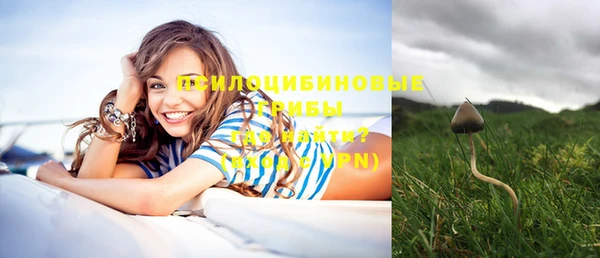 тгк Пенза