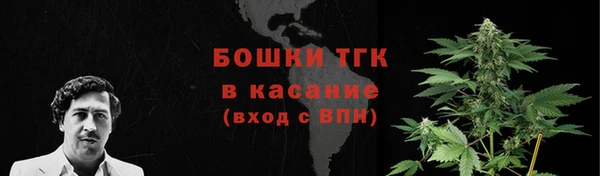 тгк Магадан