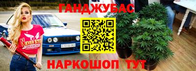 гидра Изобильный