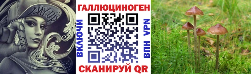 Галлюциногенные грибы MAGIC MUSHROOMS  Муром 