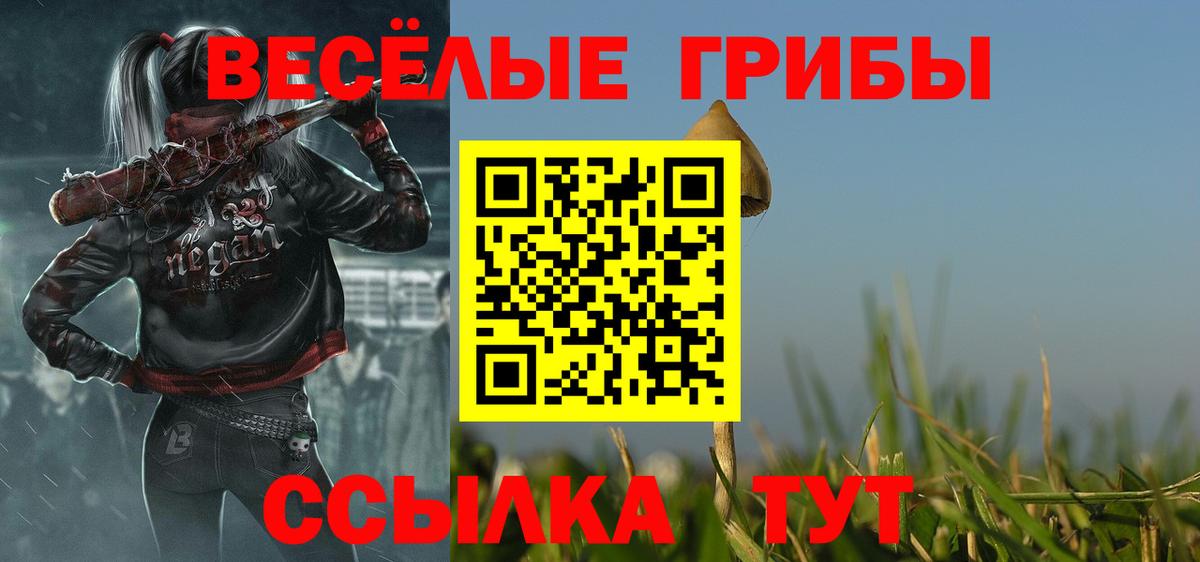 Галлюциногенные грибы GOLDEN TEACHER Муром
